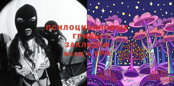 круглые Иннополис