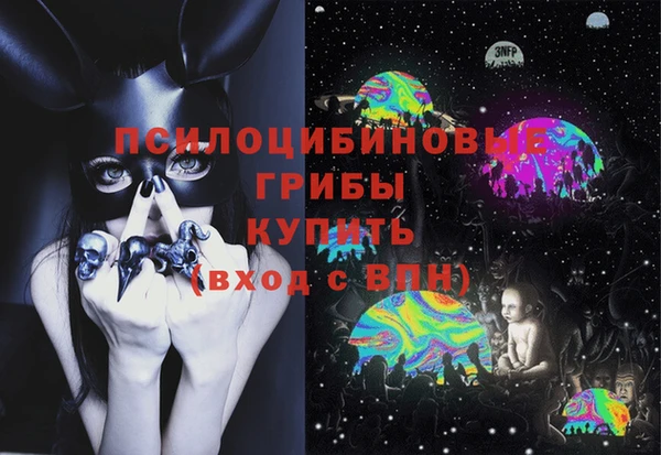 PSILOCYBIN Инсар
