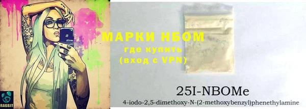 PSILOCYBIN Инсар