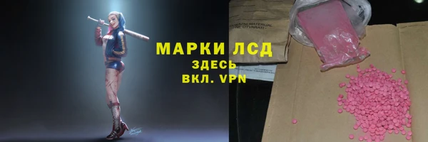дмт Инта