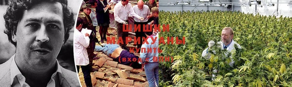 круглые Иннополис