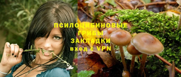 круглые Иннополис