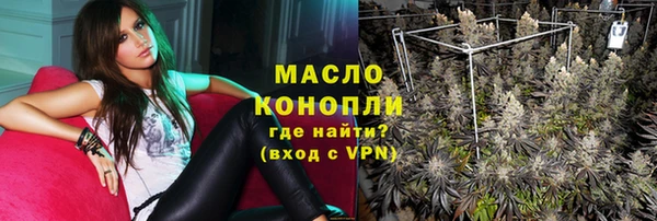 дмт Инта