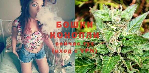 крисы Зеленодольск