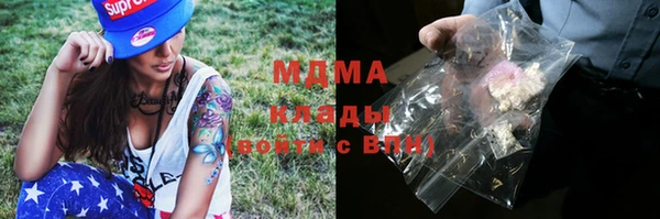 дмт Инта
