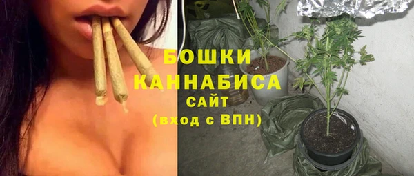 дмт Инта