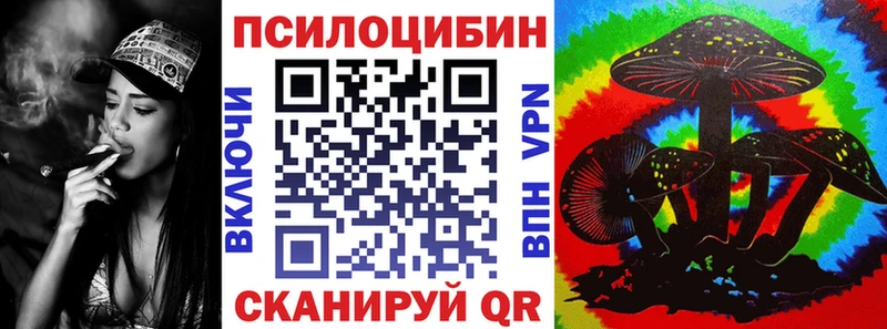 купить наркотик  Рудня  Галлюциногенные грибы Magic Shrooms 